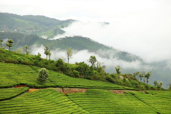 coonoor