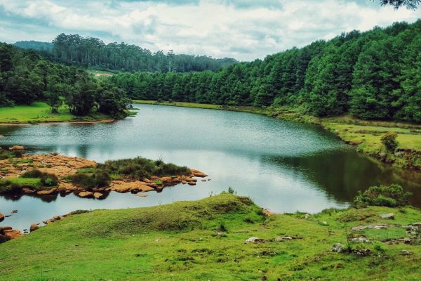 one-day-ooty-local-sightseeing-tour-package-private-cab-header